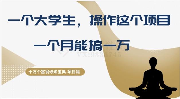十万个富翁修炼宝典之4.一个大学生操作这个项目，一个月能搞一万-天使资源网