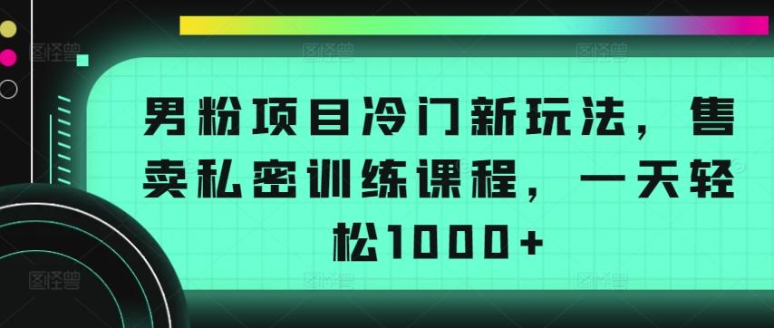 男粉项目冷门新玩法，售卖私密训练课程，一天轻松1000+【揭秘】-天使资源网