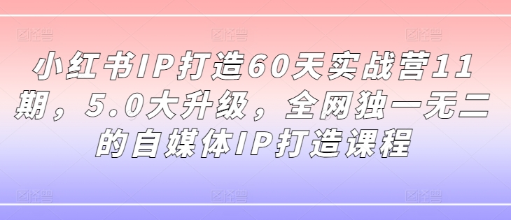 小红书IP打造60天实战营11期，5.0大升级，全网独一无二的自媒体IP打造课程-天使资源网