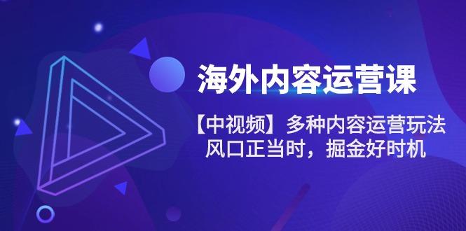 海外内容 运营课【中视频】多种内容运营玩法 风口正当时 掘金好时机-101节-天使资源网