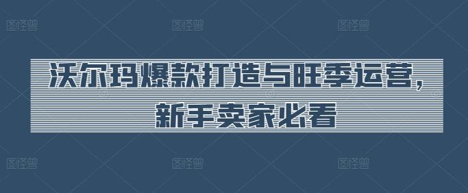 沃尔玛爆款打造与旺季运营，新手卖家必看-天使资源网
