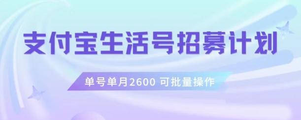 支付宝生活号作者招募计划，单号单月2600，可批量去做，工作室一人一个月轻松1w+【揭秘】-天使资源网