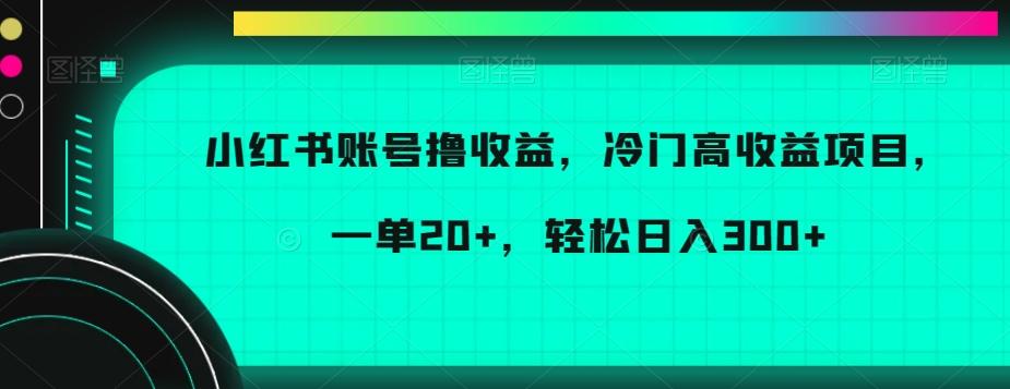 小红书账号撸收益，冷门高收益项目，一单20+，轻松日入300+【揭秘】-天使资源网