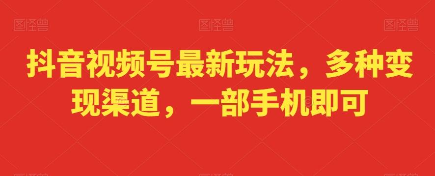 抖音视频号最新玩法，多种变现渠道，一部手机即可-天使资源网