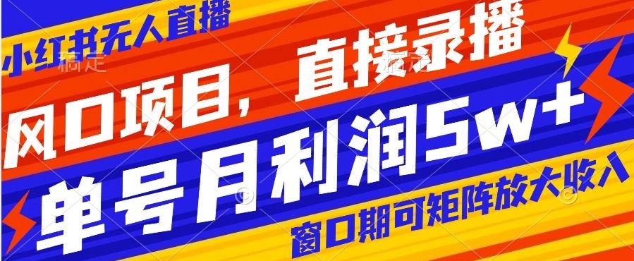 风口项目，小红书无人直播带货，直接录播，可矩阵，月入5w+【揭秘】-天使资源网