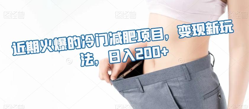 近期火爆的冷门减肥项目，变现新玩法，日入200+-天使资源网