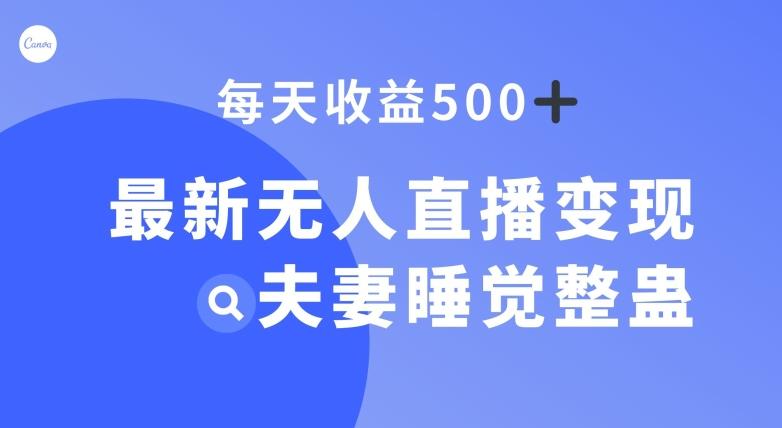 最新无人直播变现，夫妻睡觉整蛊，每天躺赚500+【揭秘】-天使资源网