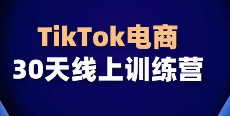 TikTok电商带货30天线上课，不可错过的全球流量洼地！-天使资源网