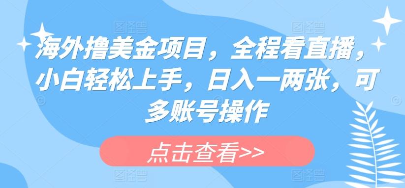 海外撸美金项目，全程看直播，小白轻松上手，日入一两张，可多账号操作【揭秘】-天使资源网