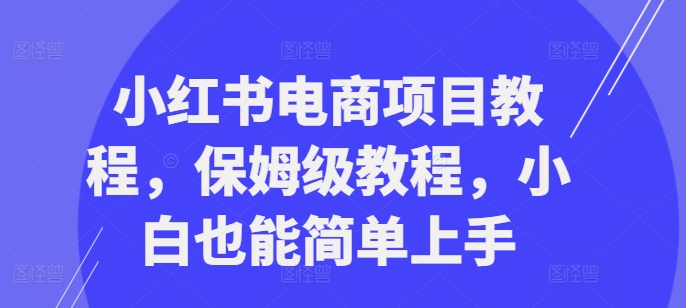 小红书电商项目教程，保姆级教程，小白也能简单上手-天使资源网
