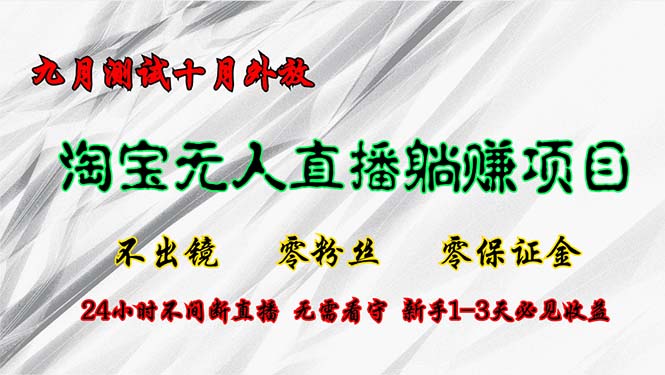 淘宝无人直播最新玩法，九月测试十月外放，不出镜零粉丝零保证金，24小…-天使资源网