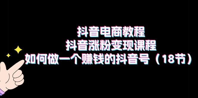 抖音电商教程：抖音涨粉变现课程：如何做一个赚钱的抖音号(18节-天使资源网