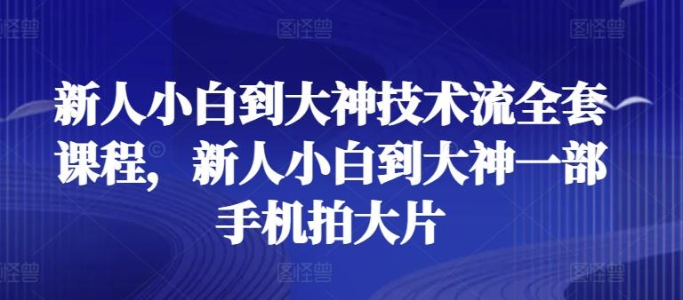 新人小白到大神技术流全套课程，新人小白到大神一部手机拍大片-天使资源网
