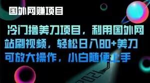 冷门撸美刀项目，利用国外网站刷视频，轻松日入80+美刀，可放大操作，小白随便上手-天使资源网
