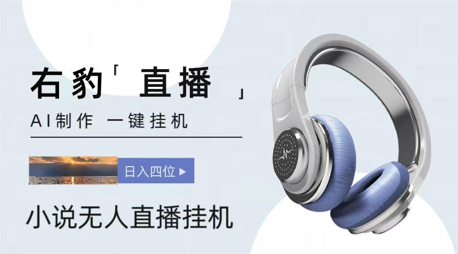 右豹小说无人直播挂机吸金项目，简单易行收益稳定， 月入1000+-天使资源网