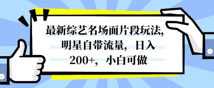 最新综艺名场面片段玩法，明星自带流量，日入200+，小白可做【揭秘】-天使资源网