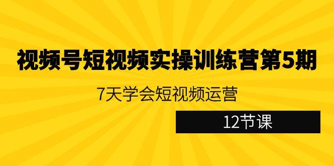 视频号短视频实操训练营第5期：7天学会短视频运营(12节课)-天使资源网