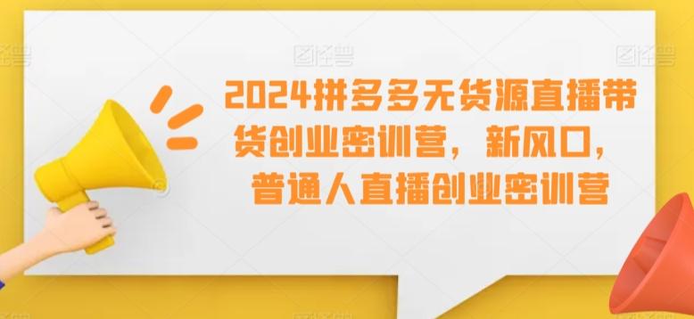 2024拼多多无货源直播带货创业密训营，新风口，普通人直播创业密训营-天使资源网