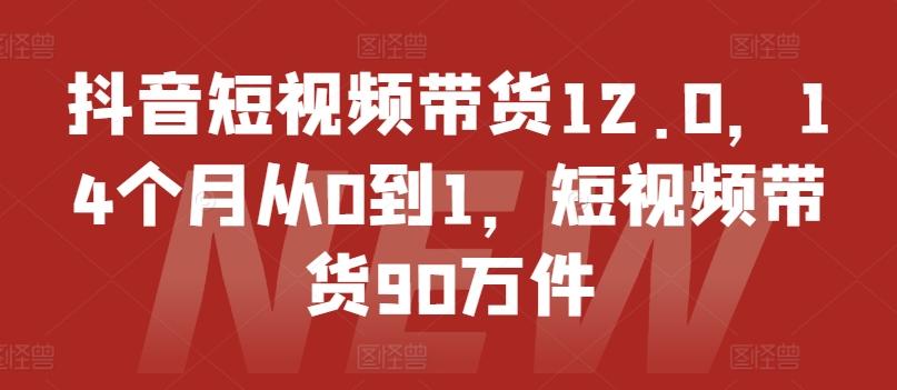 抖音短视频带货12.0，14个月从0到1，短视频带货90万件-天使资源网
