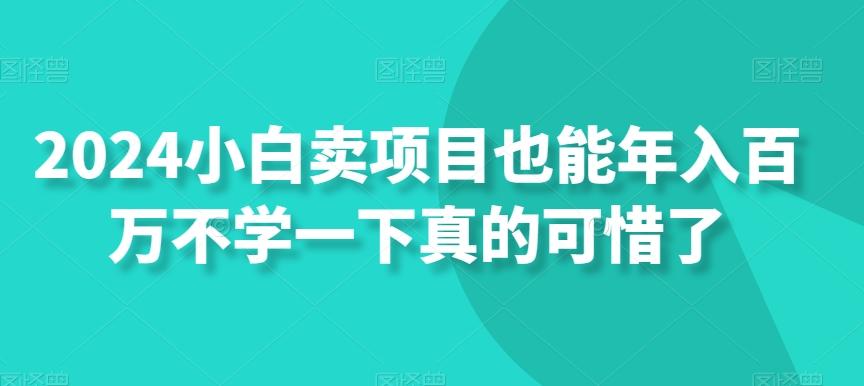 2024小白卖项目也能年入百万不学一下真的可惜了-天使资源网