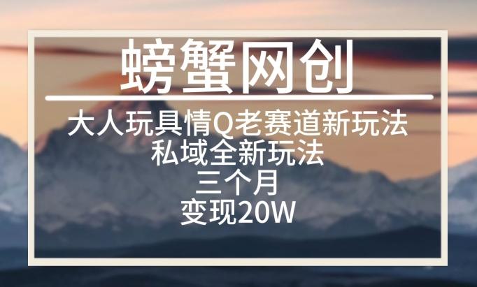 大人玩具情Q用品赛道私域全新玩法，三个月变现20W，老项目新思路【揭秘】-天使资源网