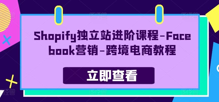 Shopify独立站进阶课程-Facebook营销-跨境电商教程-天使资源网