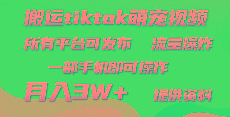 (9618期)搬运Tiktok萌宠类视频，一部手机即可。所有短视频平台均可操作，月入3W+-天使资源网