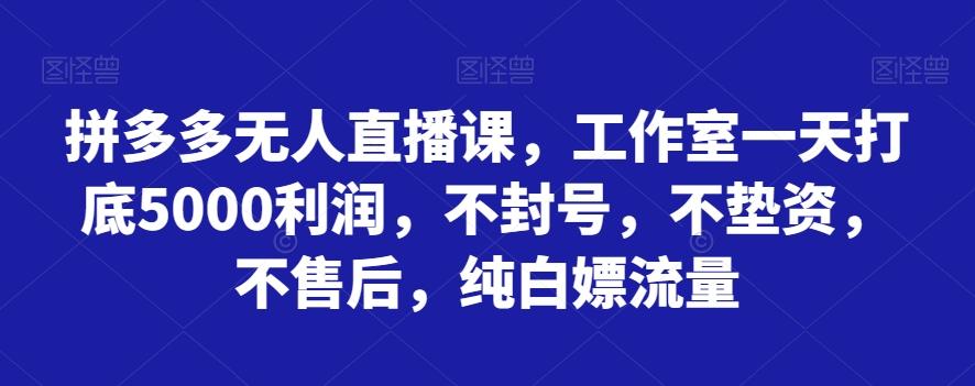 拼多多无人直播课，工作室一天打底5000利润，不封号，不垫资，不售后，纯白嫖流量-天使资源网