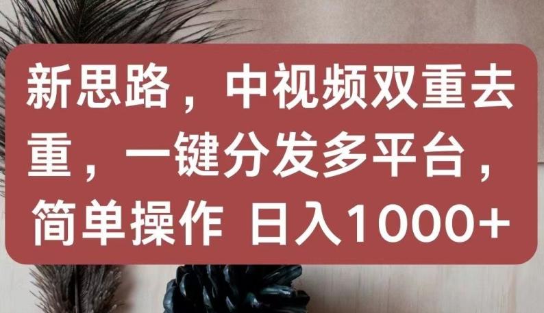 新思路，中视频双重去重，一键分发多平台，简单操作，日入1000+【揭秘】-天使资源网
