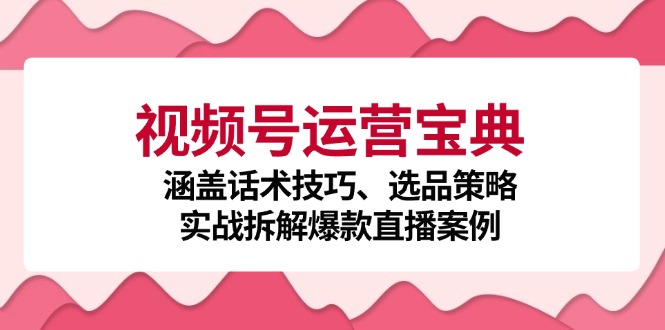 视频号运营宝典：涵盖话术技巧、选品策略、实战拆解爆款直播案例-天使资源网