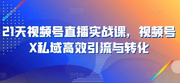 21天视频号直播实战课，视频号X私域高效引流与转化-天使资源网