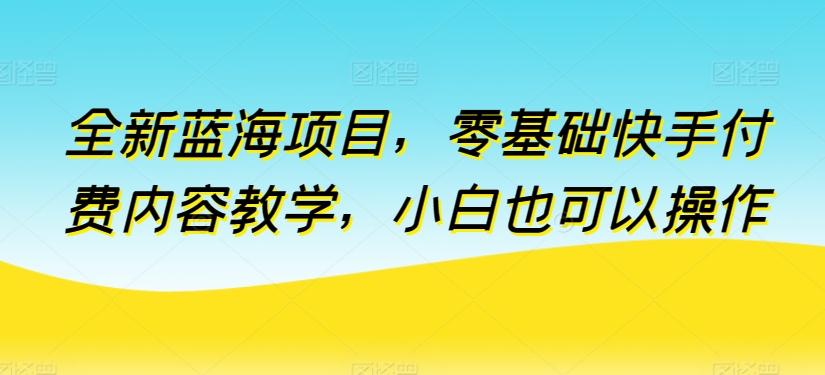 全新蓝海项目，零基础快手付费内容教学，小白也可以操作【揭秘】-天使资源网
