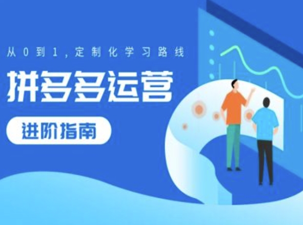 拼多多运营进阶指南，从0到1定制化学习路线-天使资源网