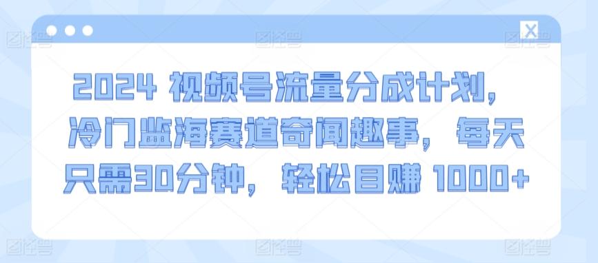 2024视频号流量分成计划，冷门监海赛道奇闻趣事，每天只需30分钟，轻松目赚 1000+【揭秘】-天使资源网