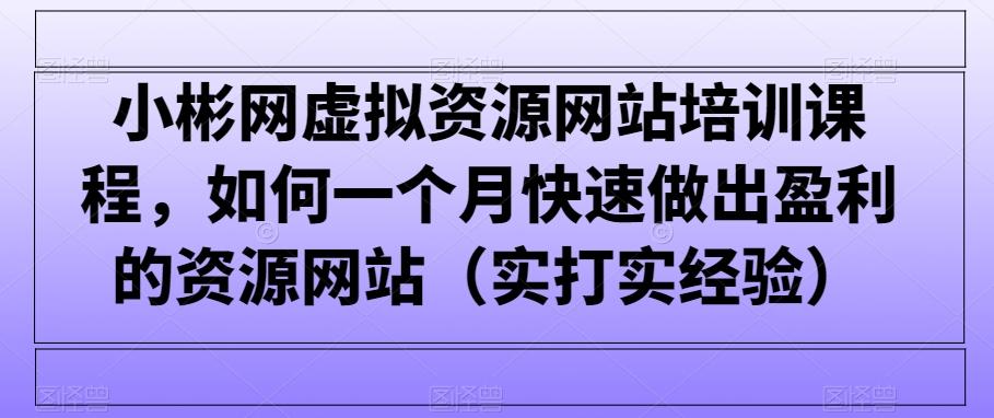 小彬网虚拟资源网站培训课程，如何一个月快速做出盈利的资源网站(实打实经验)-天使资源网
