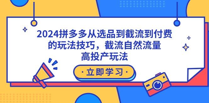 2024拼多多从选品到截流到付费的玩法技巧，截流自然流量玩法，高投产玩法-天使资源网