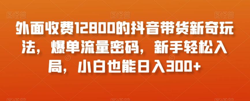外面收费12800的抖音带货新奇玩法，爆单流量密码，新手轻松入局，小白也能日入300+【揭秘】-天使资源网