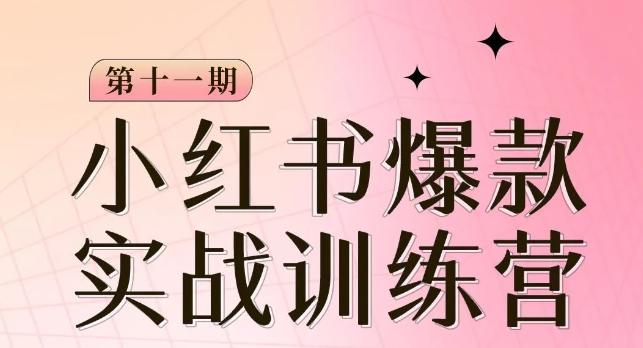 小红书博主爆款训练营第11期，手把手教你从0-1做小红书，从定位到起号到变现-天使资源网