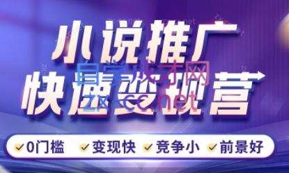 洲洲老师·小说推广快速变现营-天使资源网
