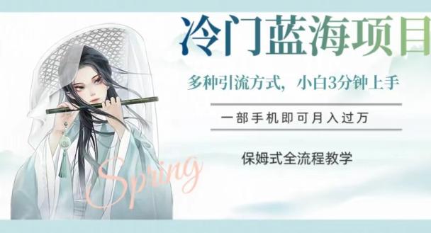 冷门蓝海项目，操作简单，小白3分钟上手，多种引流方式，保姆式全流程教学【揭秘】-天使资源网