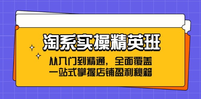 淘系实操精英班：从入门到精通，全面覆盖，一站式掌握店铺盈利秘籍-天使资源网