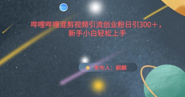 哔哩哔哩混剪视频引流创业粉日引300+，新手小白轻松上手【揭秘】-天使资源网