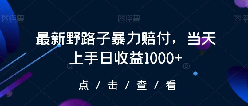 最新野路子暴力赔付，当天上手日收益1000+【仅揭秘】-天使资源网