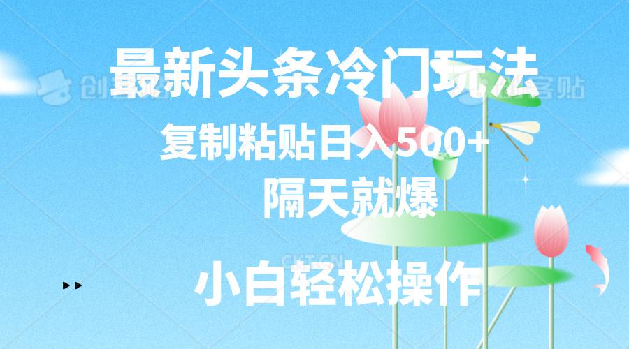 最新头条冷门玩法，隔天就爆，复制粘贴日入500+-天使资源网