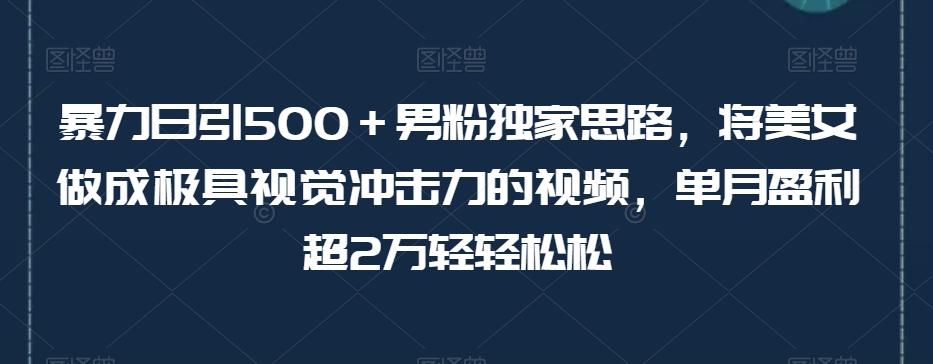 暴力日引500＋男粉独家思路，将美女做成极具视觉冲击力的视频，单月盈利超2万轻轻松松-天使资源网