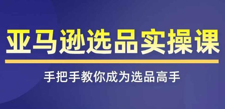 亚马逊选品实操课程，快速掌握亚马逊选品的技巧，覆盖亚马逊选品所有渠道-天使资源网