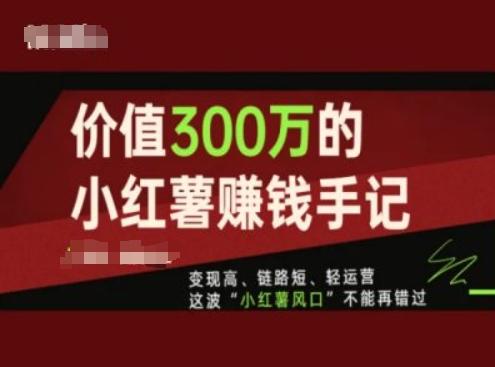 价值300万的小红书赚钱手记，变现高、链路短、轻运营，这波“小红薯风口”不能再错过-天使资源网