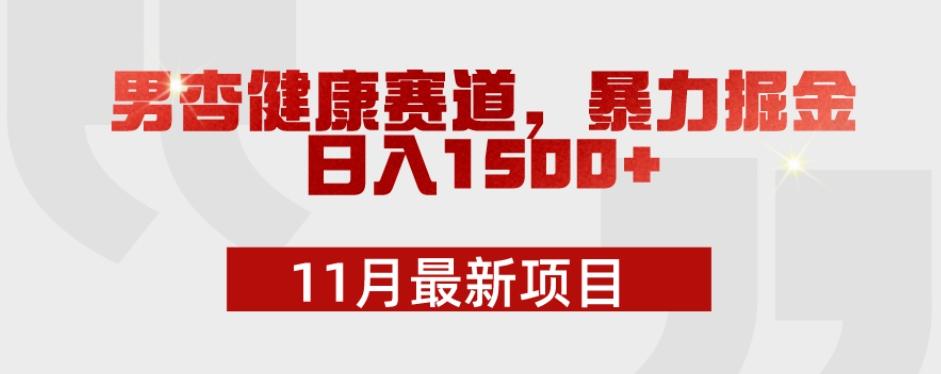 11月最新项目，男杏健康赛道，暴力掘金，日入1500+-天使资源网