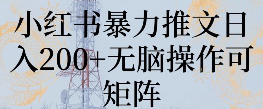 小红书暴力推文日入200+无脑操作可矩阵【揭秘】-天使资源网