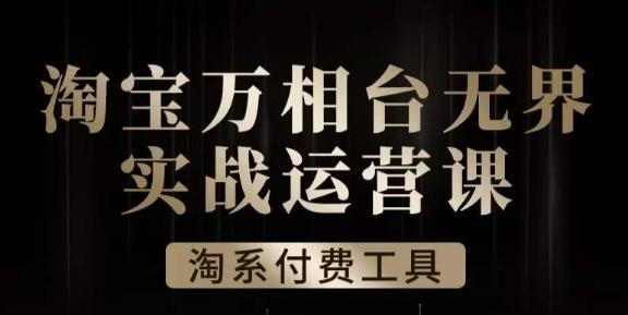 沧海·淘系万相台无界实战运营课，万相台无界实操全案例解析-天使资源网